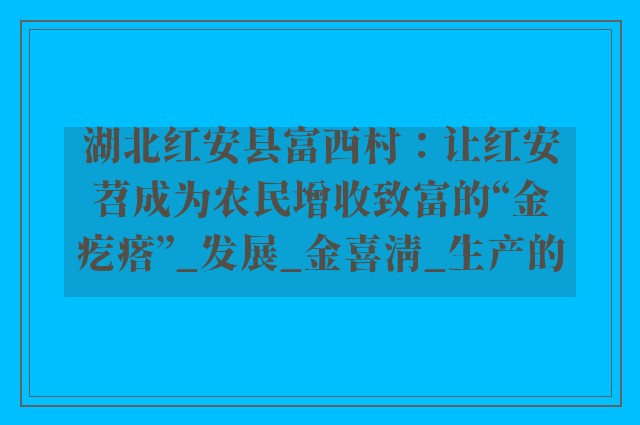 湖北红安县富西村：让红安苕成为农民增收致富的“金疙瘩”_发展_金喜清_生产的