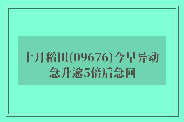 十月稻田(09676)今早异动 急升逾5倍后急回