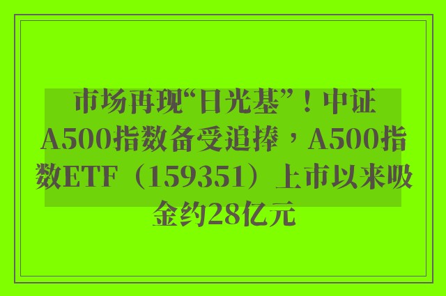 市场再现“日光基”！中证A500指数备受追捧，A500指数ETF（159351）上市以来吸金约28亿元