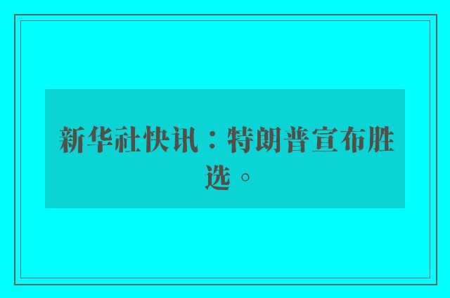 新华社快讯：特朗普宣布胜选。