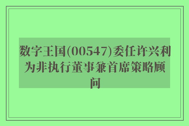 数字王国(00547)委任许兴利为非执行董事兼首席策略顾问