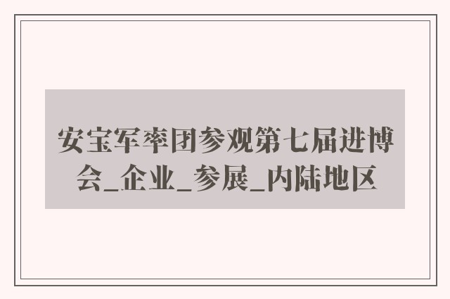 安宝军率团参观第七届进博会_企业_参展_内陆地区