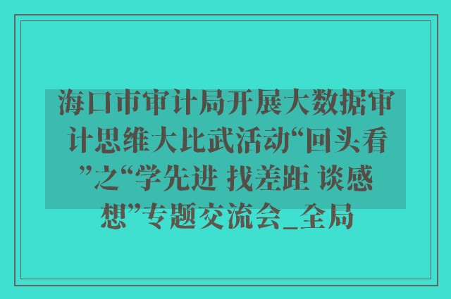 海口市审计局开展大数据审计思维大比武活动“回头看”之“学先进 找差距 谈感想”专题交流会_全局