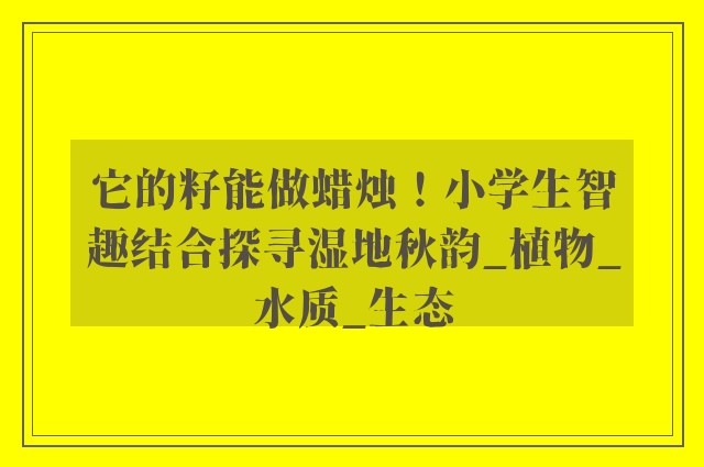 它的籽能做蜡烛！小学生智趣结合探寻湿地秋韵_植物_水质_生态