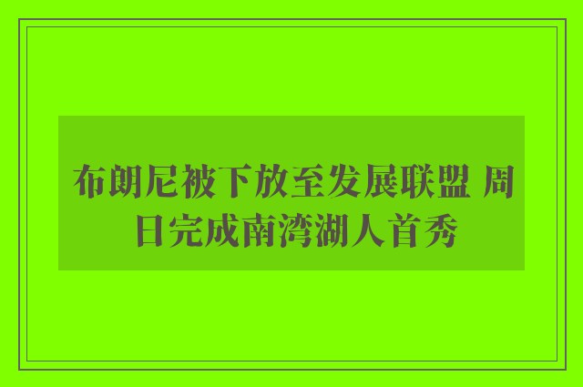 布朗尼被下放至发展联盟 周日完成南湾湖人首秀