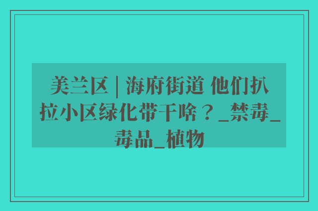 美兰区 | 海府街道 他们扒拉小区绿化带干啥？_禁毒_毒品_植物