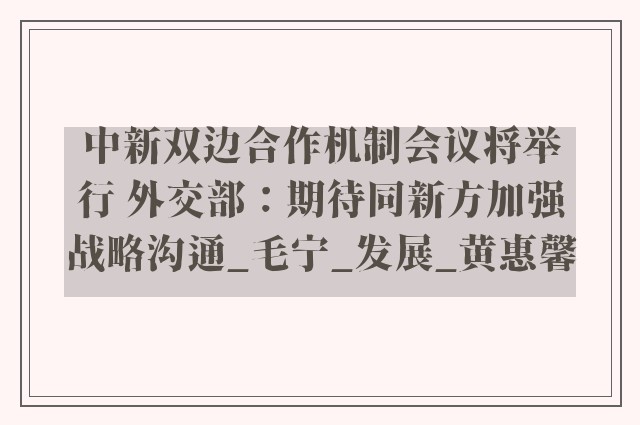 中新双边合作机制会议将举行 外交部：期待同新方加强战略沟通_毛宁_发展_黄惠馨