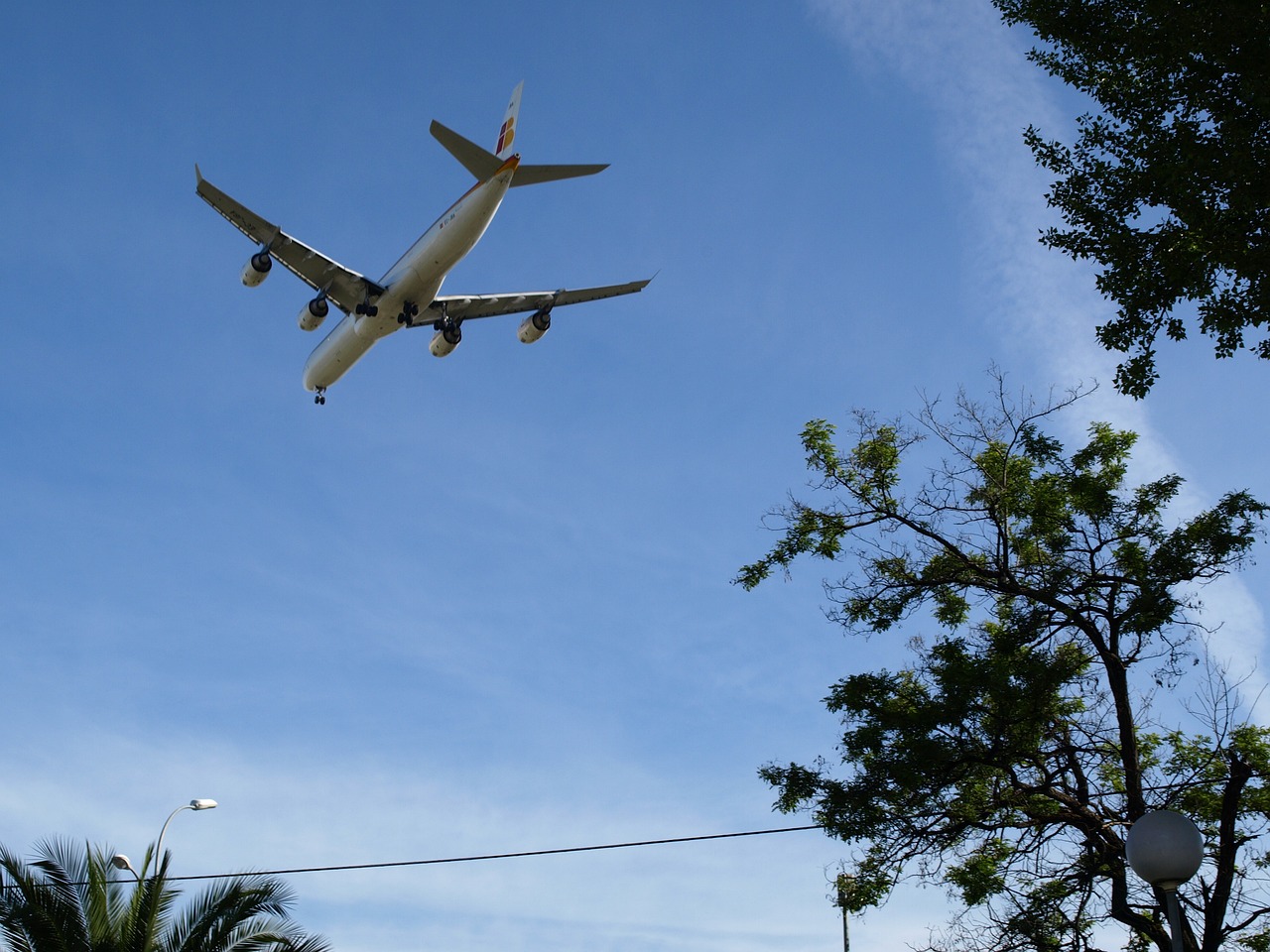 阿塞拜疆总统：阿航空难因客机遭到地面攻击严重受损