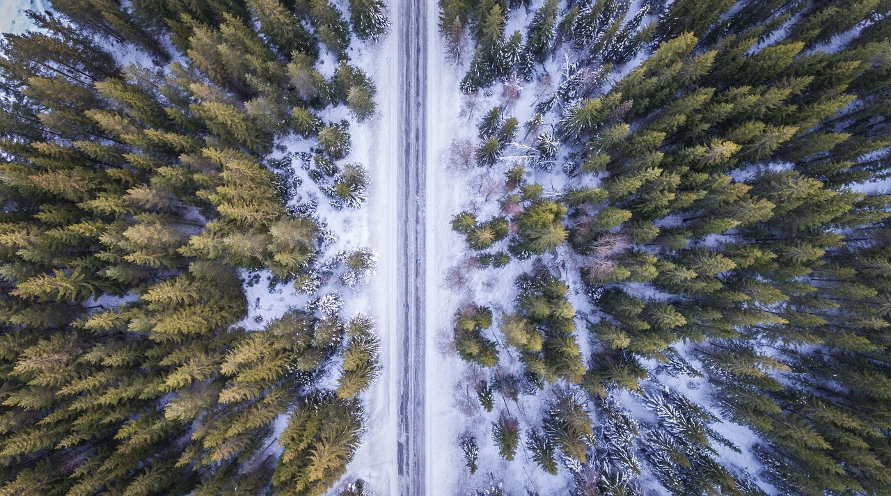 守护绿色家园，装修中的环境保护与美好家园的打造